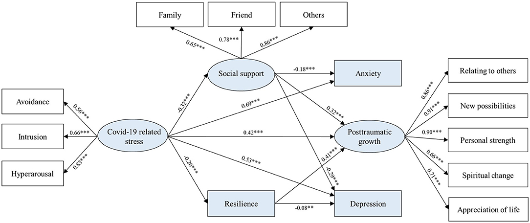 COVID-19 Related Stress and Mental Health Outcomes 1 Year After the Peak of the Pandemic Outbreak in China: the Mediating Effect of Resilience and Social Support